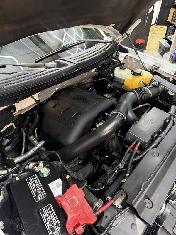 Engine bay after cleaning and dressing